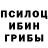 Галлюциногенные грибы MAGIC MUSHROOMS Ester Honorio
