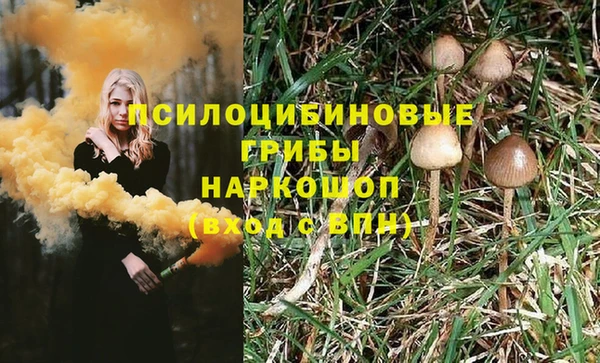 стафф Рославль