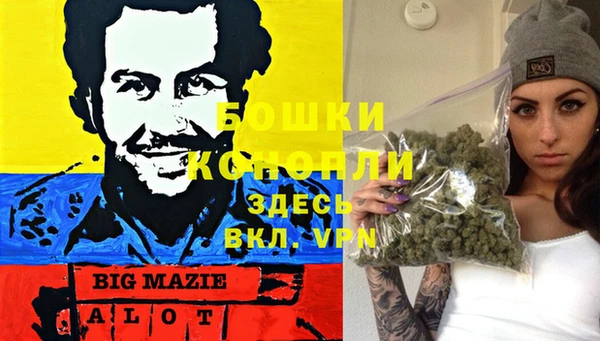 стафф Рославль